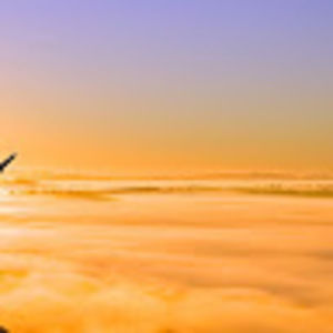 Meet your Posher, Ava